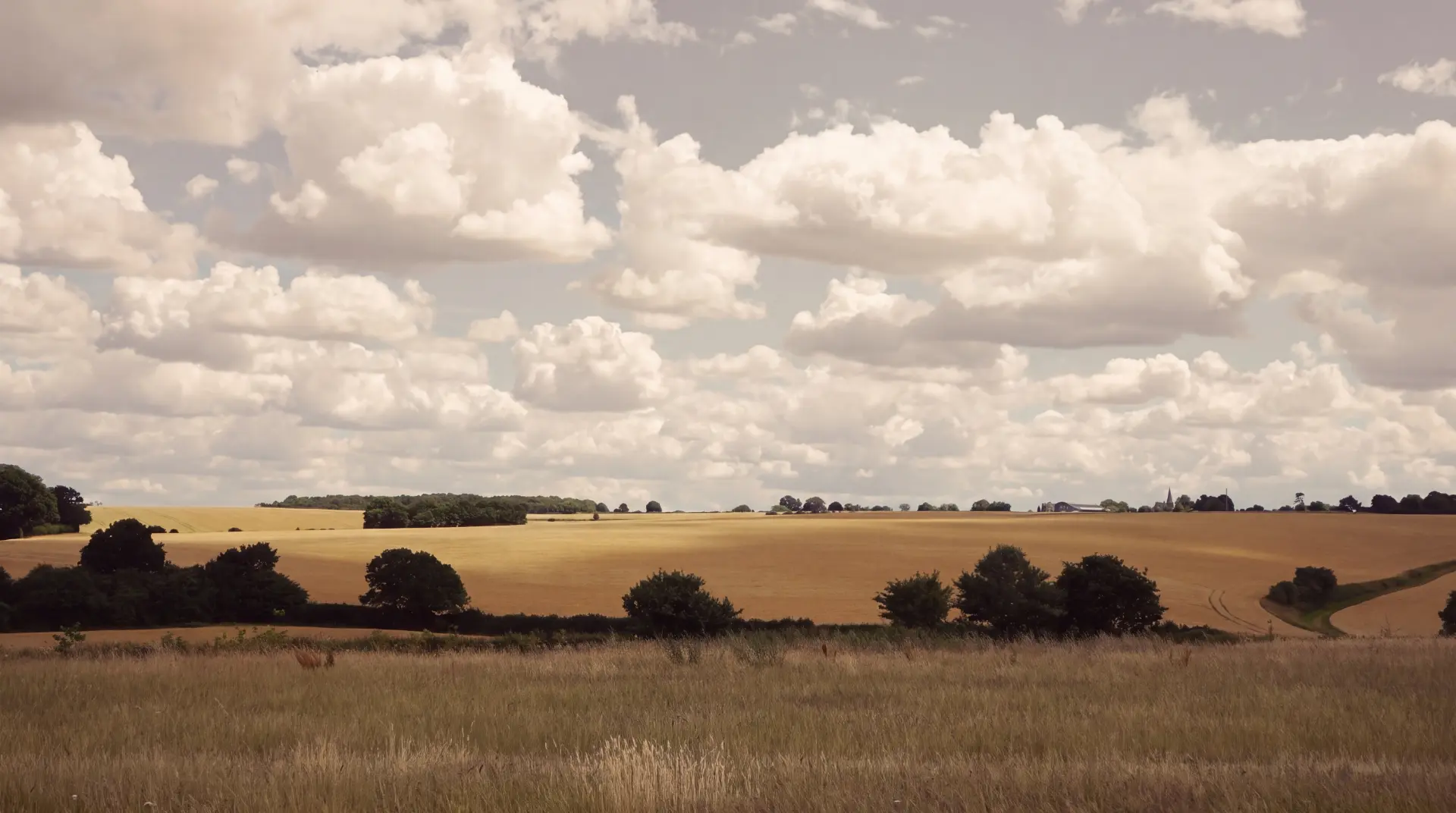 Wide English farmland with stubble fields, hedgerows and a village spire on the horizon